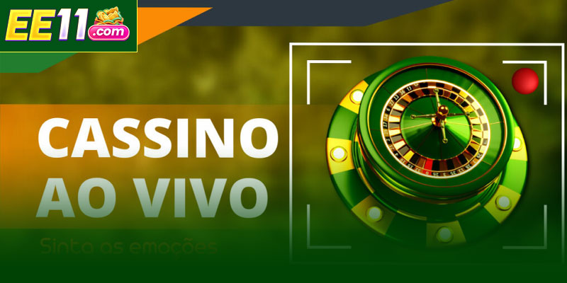 O que significa Contato EE11?